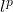 l^p
